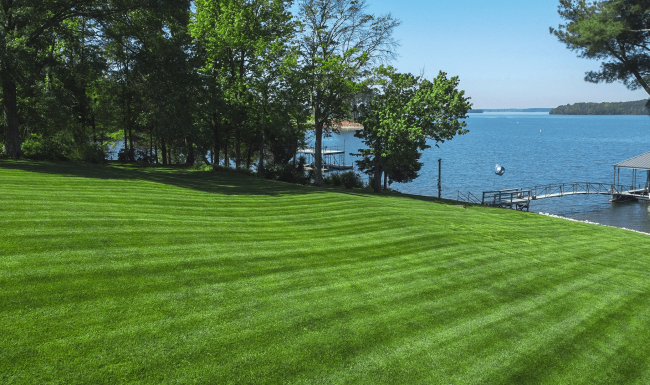Rolling hill of green grass on lake property, freshly mowed with lawn stripes.