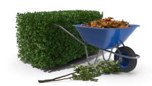 landscaping3 Image of Seasonal Landscaping Services